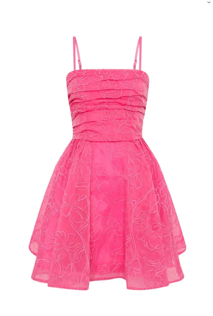Aje Evangeline Cornelli Mini Dress