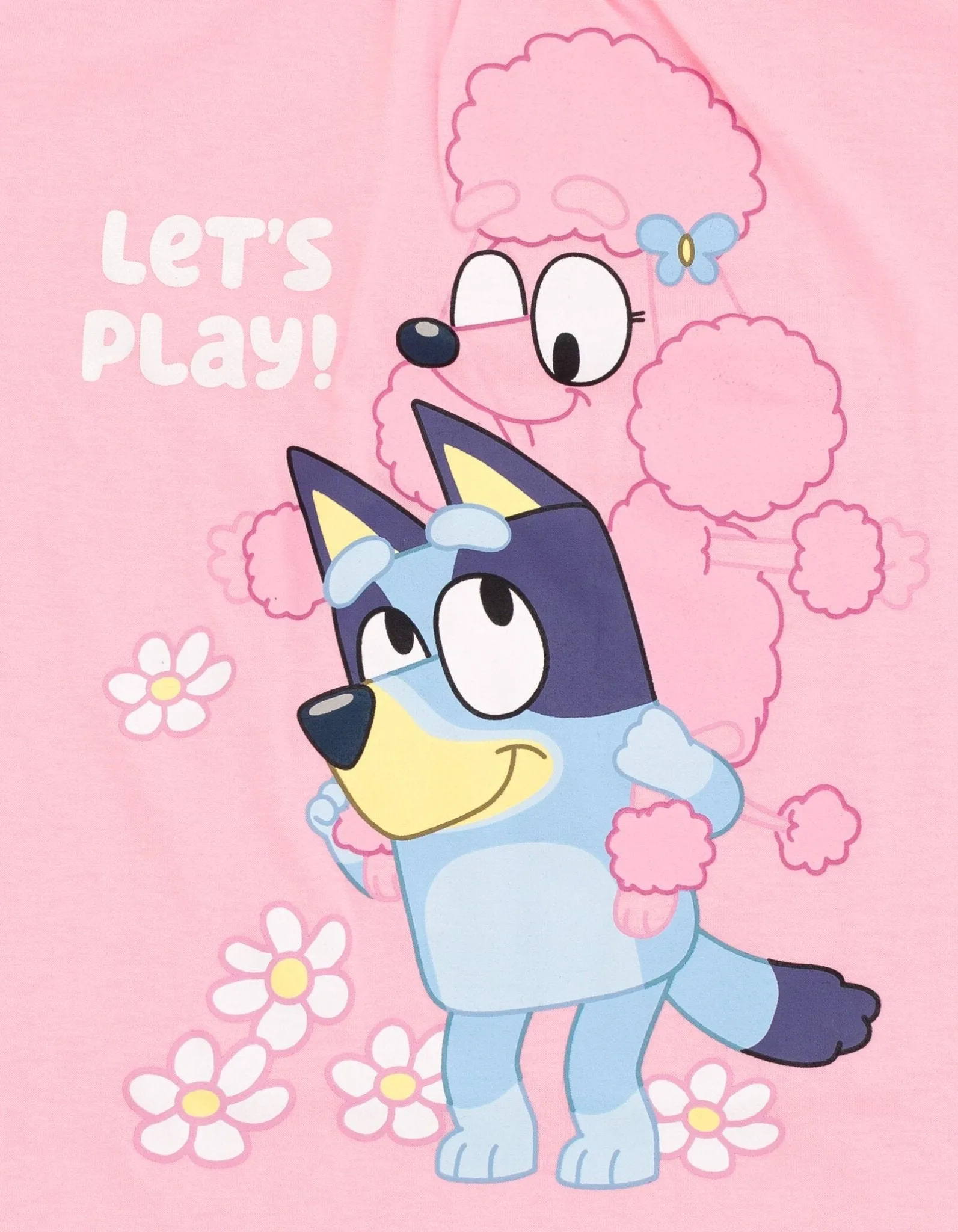 Bluey T-Shirt and Tulle Mesh Skirt