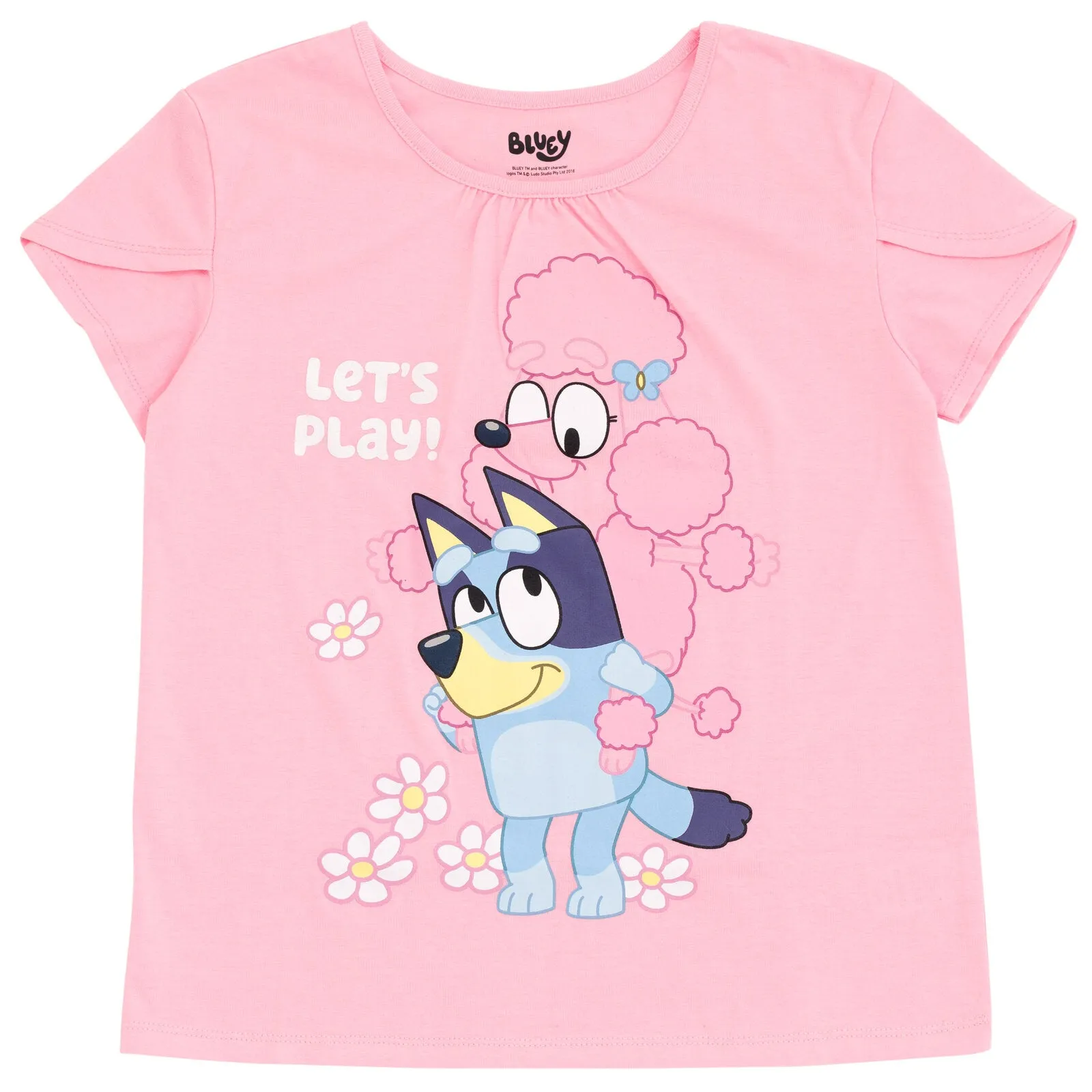Bluey T-Shirt and Tulle Mesh Skirt