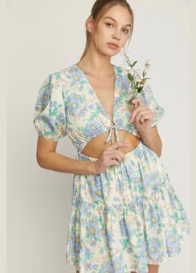 Garden Mini Dress