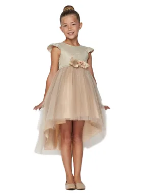 Little Girls Champagne Glitter Hi-Low Flower Girl Dress 2T-6